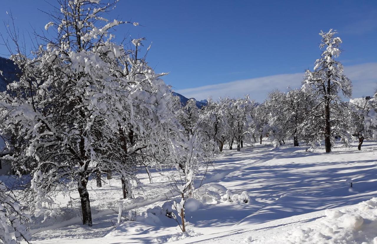 Jakelj * Kranjska Gora